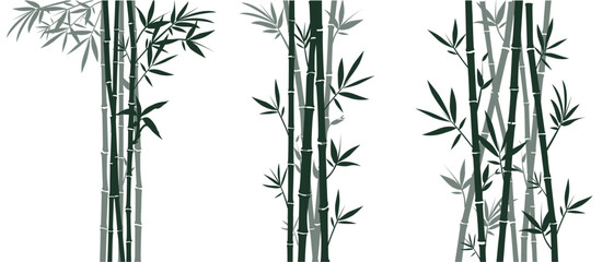 Set of bamboo silhouettes on white background. Bamboo Japanese drawing style. Stems, branches and leaves of bamboo. Vector illustration.