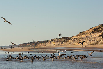 Paisaje de la playa Cuesta Maneli, Huelva.