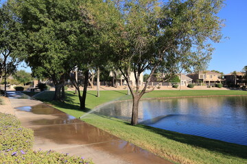 Green grassy south lake shore covered with water from underground irrigation system, Dos Lagos park  in Glendale, Arizona