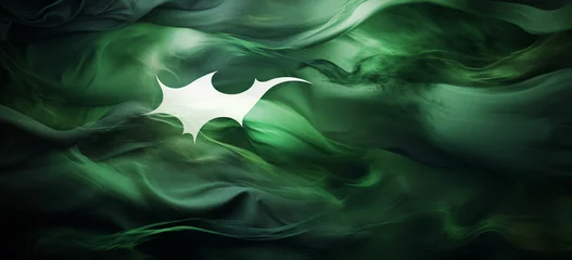 Foto op Canvas photo flag of pakistan © Zeeshan