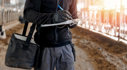 Farmer uses checklist to monitor health of cows, farm livestock industry. Vet doctor control milk...