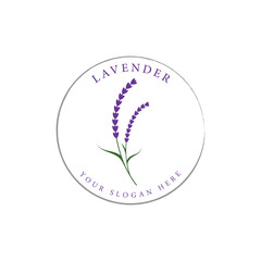 Blooming lavender organic flower logo template design. Logo for cosmetics, beauty, botany, perfume and decoration.