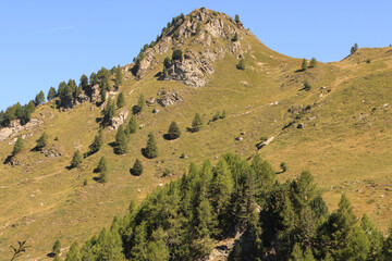 Wanderziel über dem Val Forno im Bergell; Blick zur Margneta (2785 m)