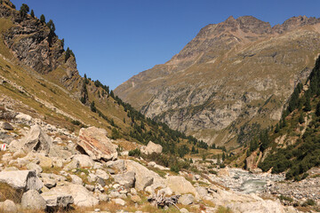 Fototapeta na wymiar Wildromantische Alpenlandschaft des Bergell; Val Forno mit Gletscherbach und Piz de la Margna
