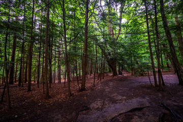 Chestnut Ridge Park Eternal Flame Falls