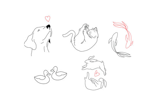 hand drawn, line art animals illustration, vector set of animals minimal design, cats, dogs, fishes, rabbits, ducks vector