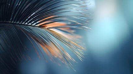 Palm tree in the sun