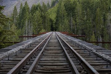 Vance Creek Bridge is an abandoned railroad logging bridge in Mason County, Washington state in the...
