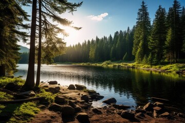 Naklejka premium Tranquil Natural Setting With Forest, Trees, Lake, And Sun
