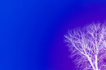 Abstract image of abstract tree for beautiful unusual background