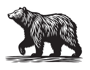Bear Silhouette Vector