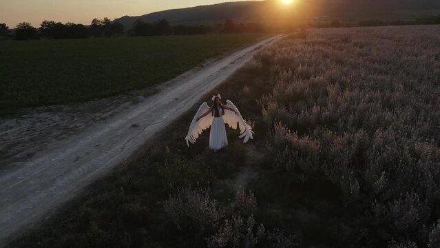 angel at sunset. a beautiful young girl with wings walks through a pink field at sunset