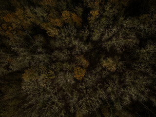 Wild river in late autumn drone view