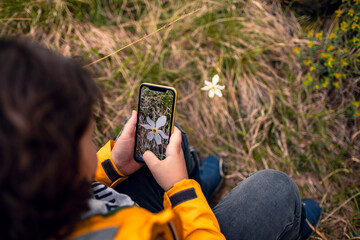 Little boy taking smartphone photo of flower in nature