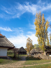 Fototapeta na wymiar Traditional wooden house with thatched roof. A small house in a mountain village, Ukraine. Picturesque village in autumn. 