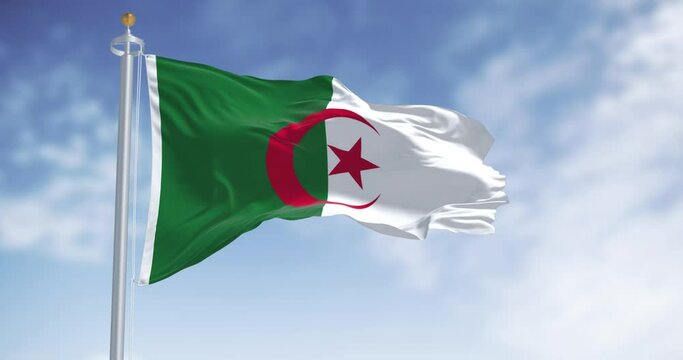 Close-up of Algeria national flag waving on a clear day