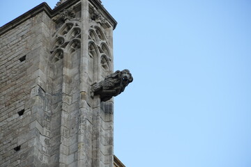 column and gargoyle in the medieval castle 