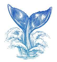 Tail of humpback whale over sea water. Nautical theme, hand drawn vector illustration © ~ Bitter ~