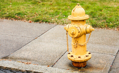 fire hydrant against urban backdrop, symbolizing safety and emergency preparedness