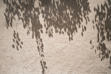 Shadow from tree foliage on the clay wall of an ancient building, minimalistic abstraction for...