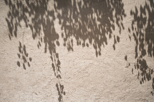 Shadow from tree foliage on the clay wall of an ancient building, minimalistic abstraction for background