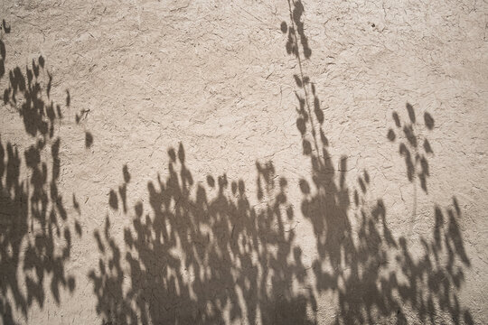Shadow from tree foliage on the clay wall of an ancient building, minimalistic abstraction for background