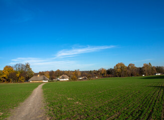 Fototapeta na wymiar Green field and blue sky in autumn. Trees, forest and traditional ukrainian houses on the horizon. Traditional wooden house with thatched roof.