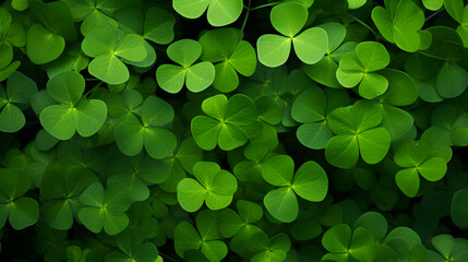 Horizontal banner with field of green clovers or shamrocks, Generative AI