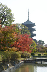 秋の東寺　五重塔　京都市南区