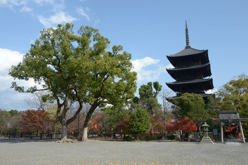 秋の東寺　五重塔　京都市南区