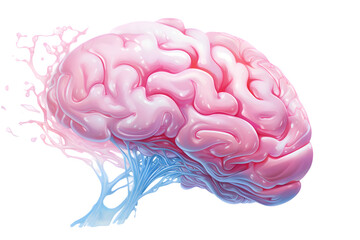 Pink human brain illustration isolated on transparent background