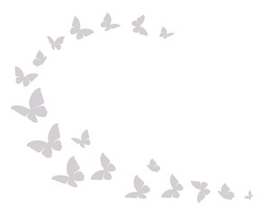 butterflies and flowers