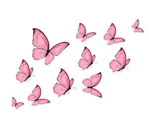 set of butterflies pink butterflies