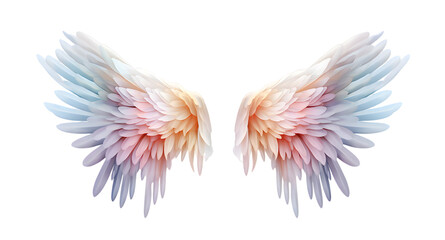 Fototapeta premium Beautiful magic watercolor angel wings isolated on transparent background