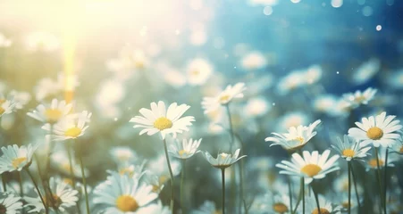 Poster Im Rahmen a flower field with rain and beautiful white daisies © olegganko
