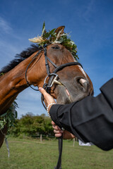 Obraz premium tête d'un cheval câlin avec une couronne de feuilles et de fleurs