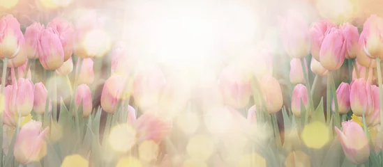 Deurstickers selective focus of colorful pink tulips in field © bonilook