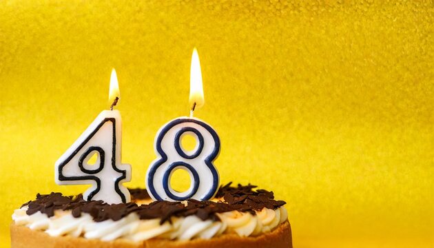 Number 48 Birthday cake. Forty-eight Birthday cake.
