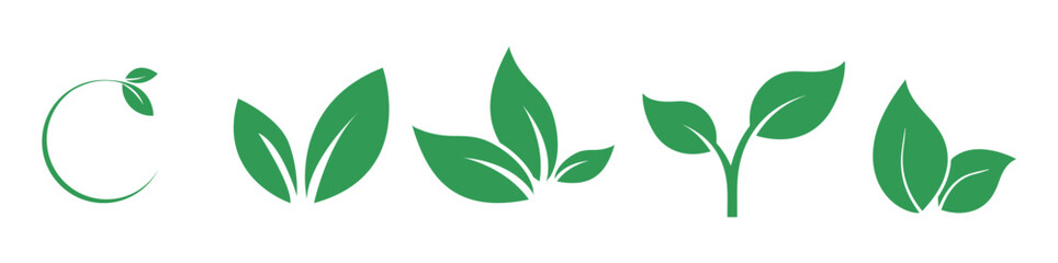 green leaves vector illustration isolated on white