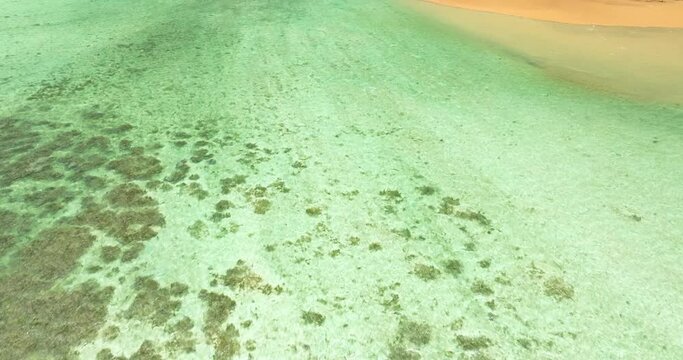 Stunning cinematic drone view of Mauritius showing the halocline effect, as two contrasting water bodies &mdash; the greenish ocean and orange-tinted river &mdash; blend together in a breathtaking natural spectac