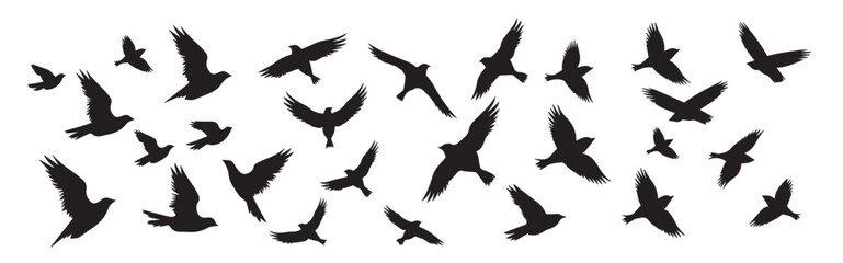 Flying birds silhouettes on isolated background. Vector illustration