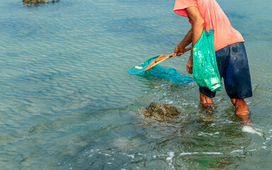 People catch fish that float on the surface of the water because they are poisoned by the roots of...