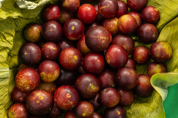 camu camu fruits, Myrciaria dubia, exotic fruit from the Amazon that grows on the banks of rivers,...