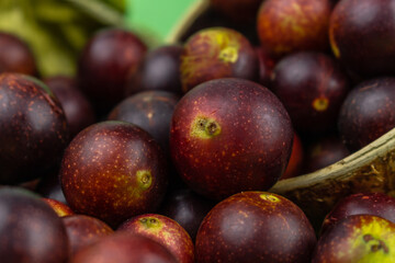 camu camu fruits, Myrciaria dubia, exotic fruit from the Amazon that grows on the banks of rivers, it is highly appreciated for its flavor, it is considered the fruit with the most vitamin C