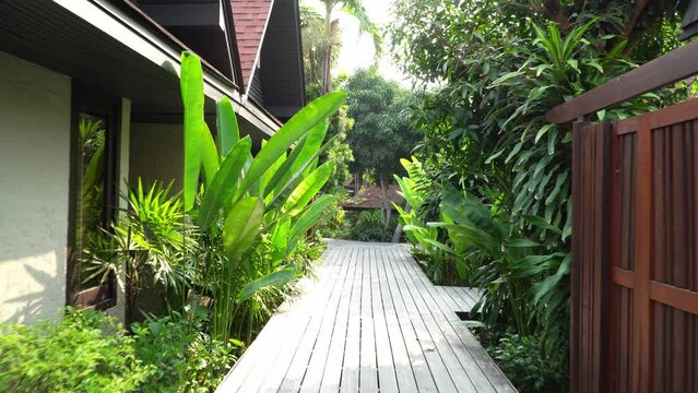 walkway surrounds the natural green trees in the resort. Beautiful slatted floor