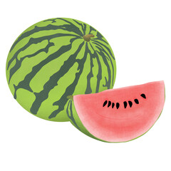 Water melon Illustration Cartoon Design.