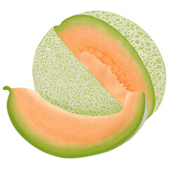 Cantaloupe Melon Illustration cartoon design.