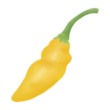 Datil Bilder – Durchsuchen 1,030 Archivfotos, Vektorgrafiken und Videos ...