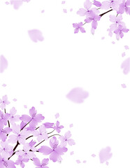 Cherry Blossom Frame. Sakura Bloom Background. Spring Floral Border Clipart.