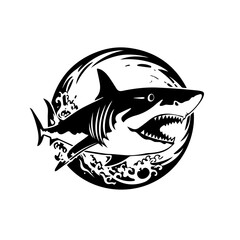 Shark Vector